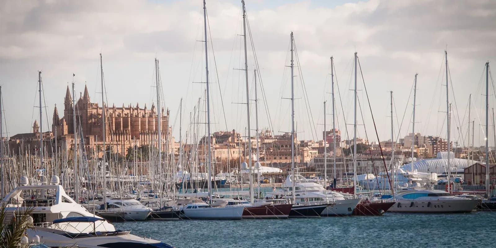 Palma de Mallorca's marina and Gothic cathedral, a dialysis holiday destination in Mallorca