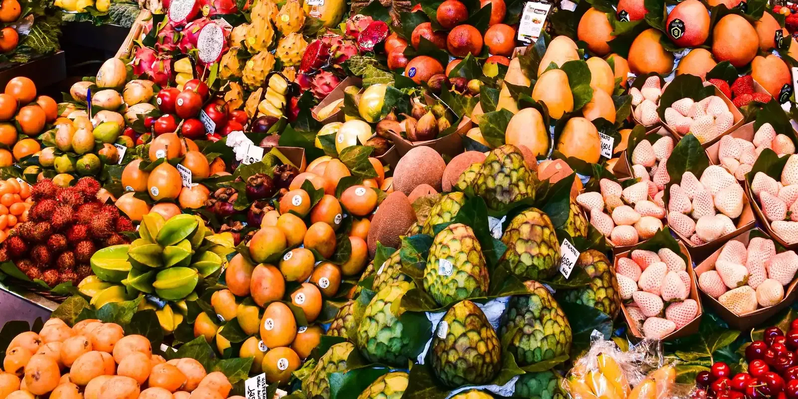 Travel inspiration for Diet and Dialysis Abroad: What to Discuss With Your Dietitian